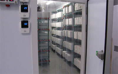 By spite about do of allow